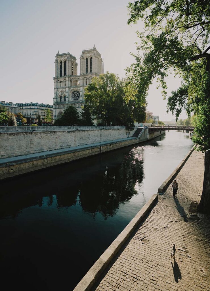 la-catedral-de-notre-dame-de-París-qué-ver-en-París-IvanCondePh31000758