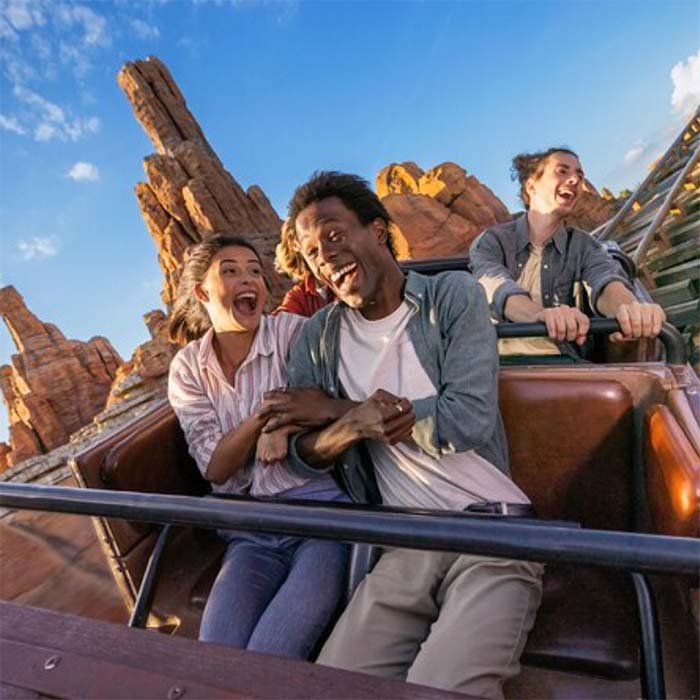 Entradas, tickets y traslados disneyland París. EuroDisney.